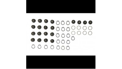 CAPRICORN GT2 PIVOT BUSHING FULL KIT (CAP-3231-K) CAPRICORN GT2 PIVOT BUSHING FULL KIT (CAP-3231-K)